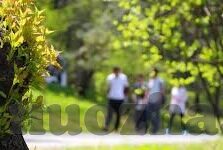 91麻豆91福利91免费视频-探索成人娱乐产业中的创新与边界