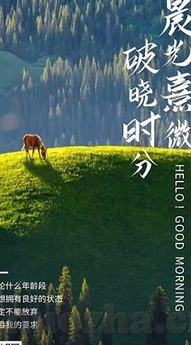 91麻豆糖心vlog出品淑怡-平等、尊重与创意——在淑怡的91麻豆糖心Vlog中探索网络文化的边界