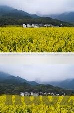 果冻传媒女演员照片-媒体镜像下的光影，果冻传媒女演员的影像探索