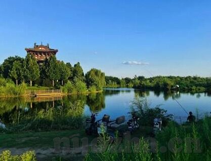 麻豆国产视频网址-批判网络信息真伪，理性审视网络搜索现象